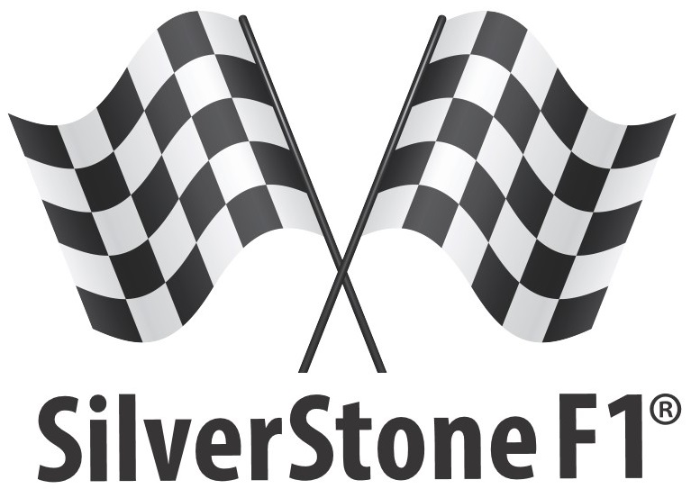 видеорегистраторы Silver Stone